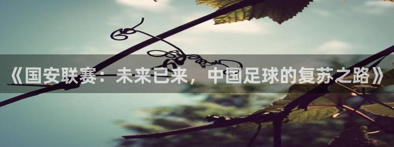 360直播雨燕足球在线观看：《国安联赛：未来已来，中国足球的复苏之路》