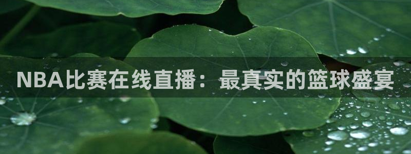 乐球吧nba直播雨燕360：NBA比赛在线直播：最真实的篮球盛宴