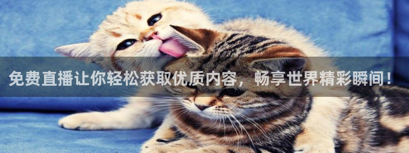 360无插件直播nba：免费直播让你轻松获取优质内容，畅享世界精彩瞬间！