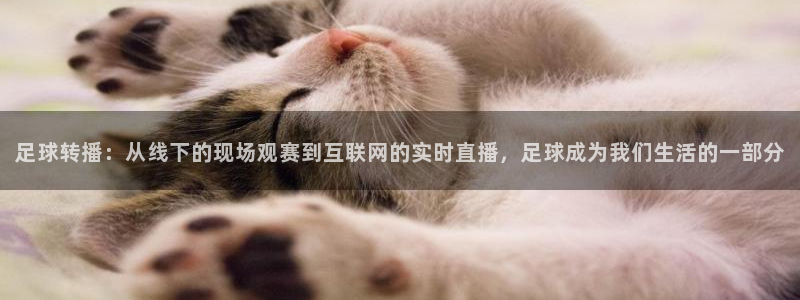 直播360com：足球转播：从线下的现场观赛到互联网的实时直播，足球成为我们生活的一部分