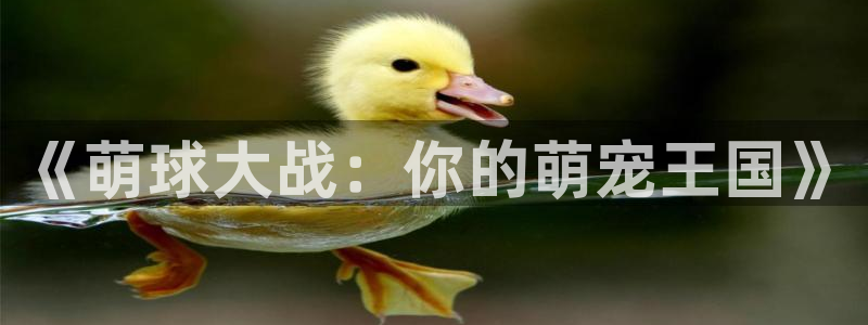 360体育直播nba直播：《萌球大战：你的萌宠王国》